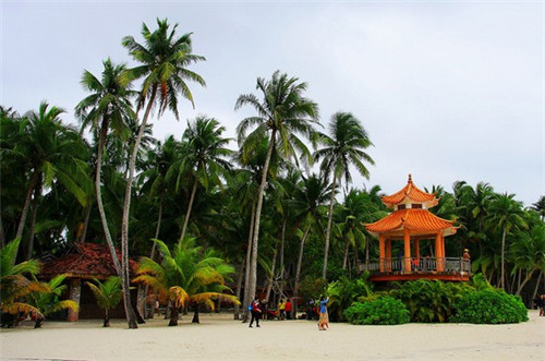 炸鸡女孩小吃车加盟会亏钱吗