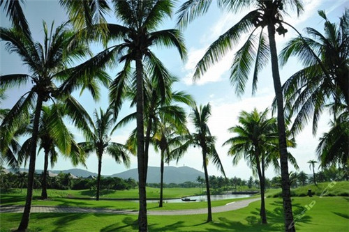 奶茶店主爱画画怎么办