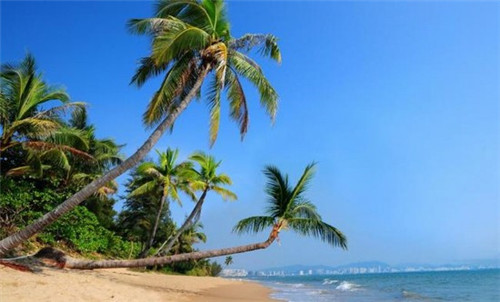 西宁墙板加盟费多少