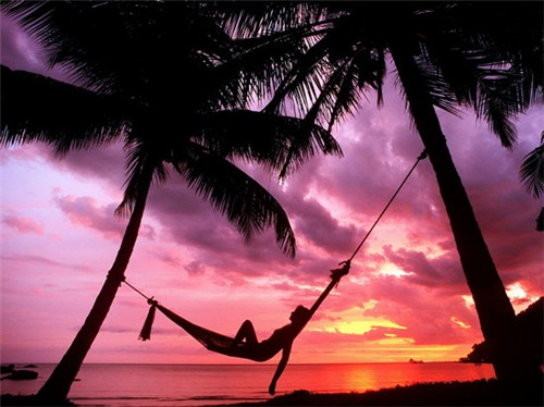 申公馆美食特色（申公酱厂家地址）