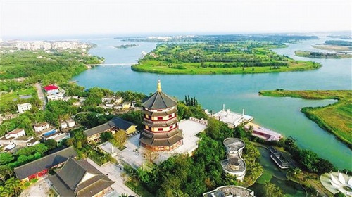 紫苏蒜子炒鸭子可以吃吗（紫苏炒鸭窍门）