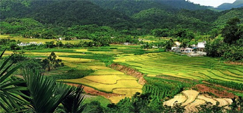 阳朔坐什么车去景点（去阳朔坐到哪个站）