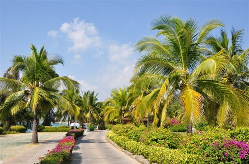 水泥板砸坏物业有责任吗（水泥板破碎）